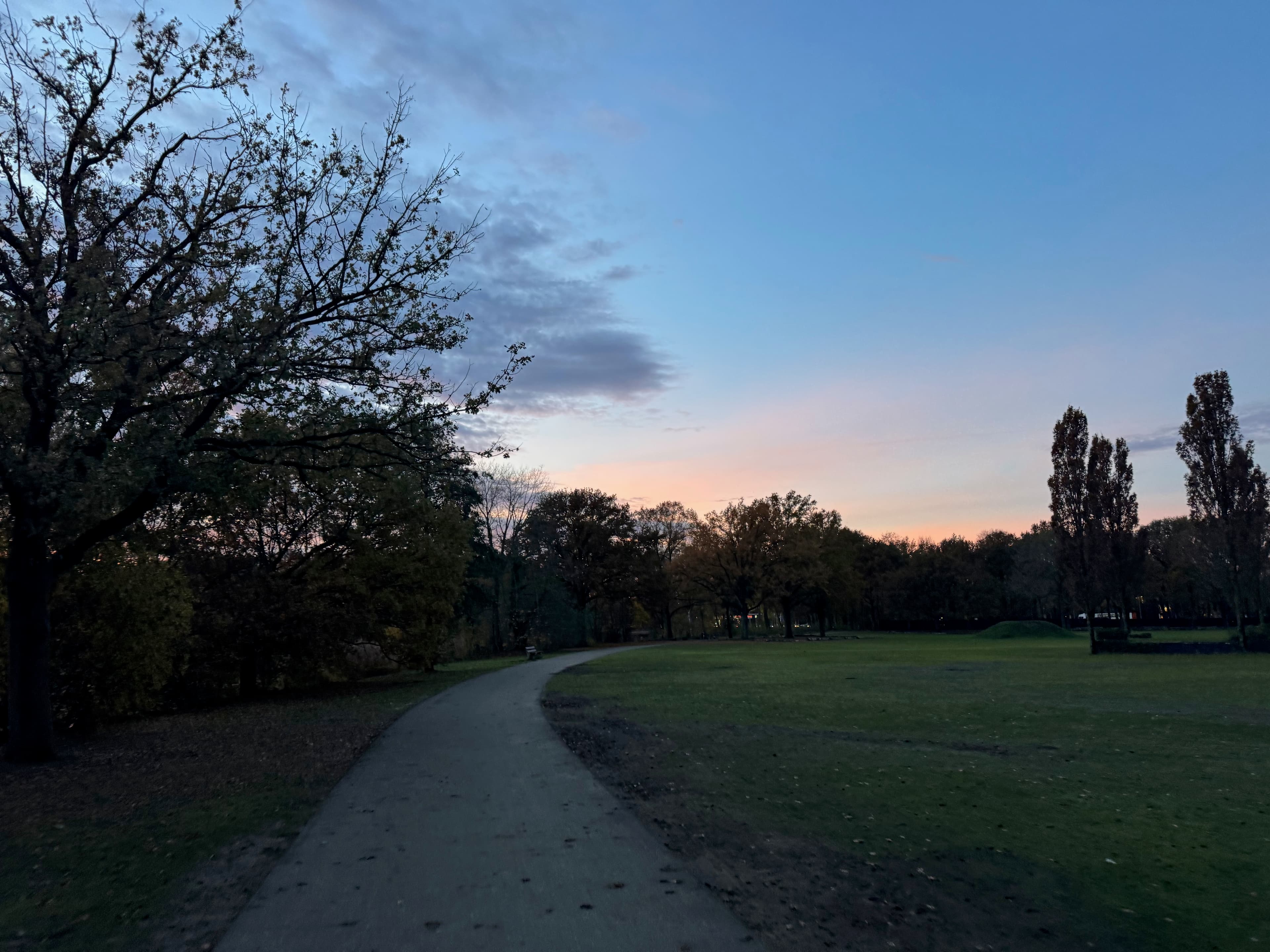 Founders Run Eindhoven, 12 November 2025